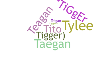 暱稱 - Tigger