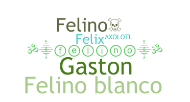 暱稱 - Felino
