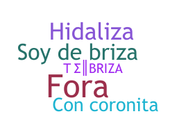 暱稱 - Briza
