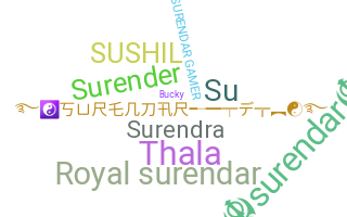暱稱 - Surendar