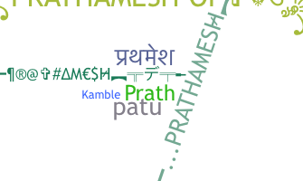 暱稱 - Prathamesh