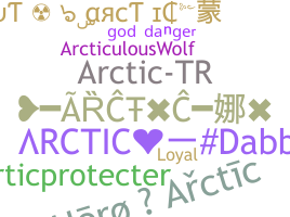 暱稱 - Arctic