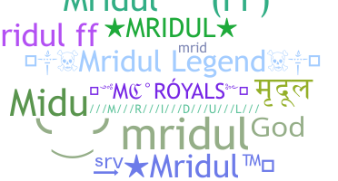 暱稱 - Mridul