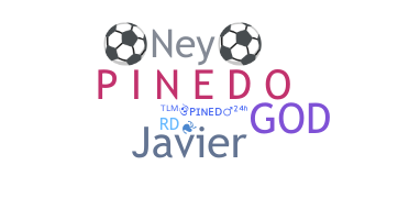 暱稱 - Pinedo