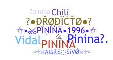 暱稱 - Pinina