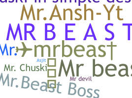 暱稱 - mr.beast