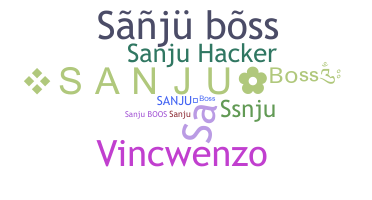 暱稱 - sanjuboss