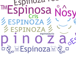 暱稱 - Espinoza