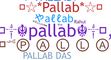 暱稱 - Pallab
