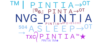 暱稱 - Pintia
