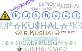 暱稱 - Kushal