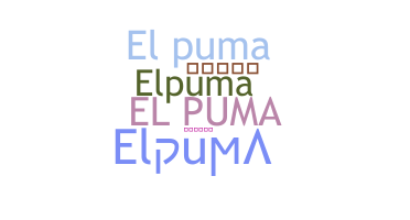 暱稱 - ElPuma