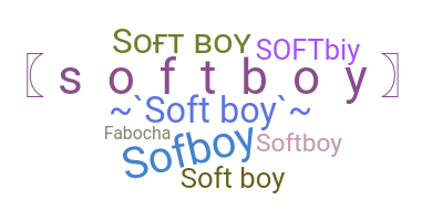 暱稱 - softboy