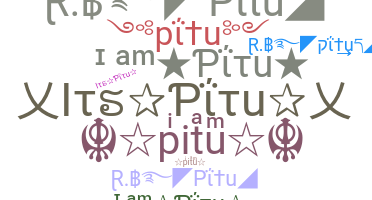 暱稱 - pitu