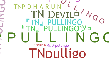 暱稱 - TNpullingo
