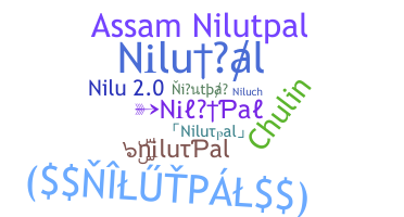 暱稱 - nilutpal