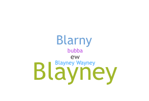 暱稱 - Blayne