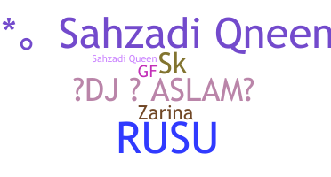 暱稱 - Sahzadi