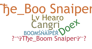 暱稱 - BoomSnaiper