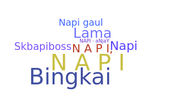 暱稱 - napi