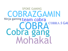 暱稱 - CobraGang