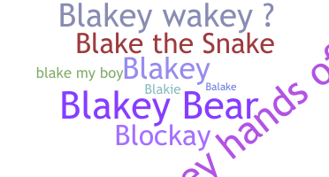 暱稱 - Blake