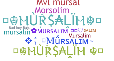 暱稱 - mursalim