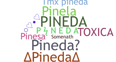 暱稱 - Pineda