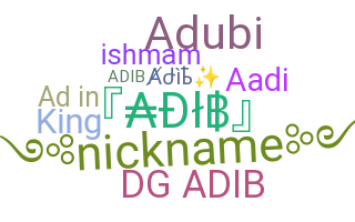 暱稱 - Adib