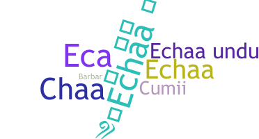 暱稱 - echaa