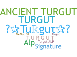 暱稱 - Turgut