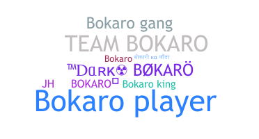 暱稱 - bokaro