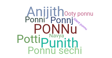 暱稱 - Ponnu