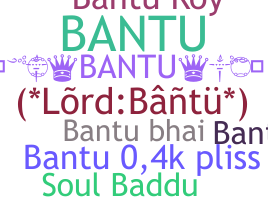 暱稱 - Bantu