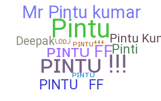 暱稱 - Pintukumar
