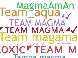 暱稱 - teammagma
