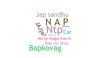 暱稱 - NAP