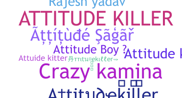 暱稱 - Attitudekiller