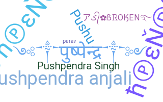 暱稱 - Pushpendra