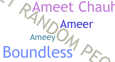 暱稱 - ameet
