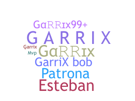 暱稱 - Garrix