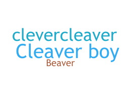 暱稱 - Cleaver