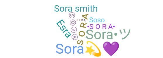 暱稱 - Sora