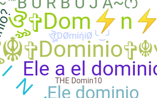 暱稱 - dominio