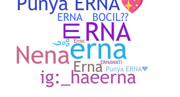 暱稱 - erna
