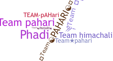暱稱 - TEAMPAHARI