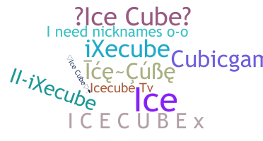 暱稱 - icecube