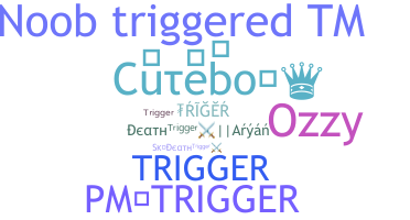 暱稱 - Trigger
