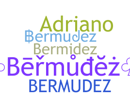 暱稱 - Bermudez