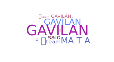 暱稱 - Gavilan
